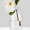 11in Tall Glass Bottle With Cork