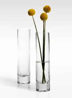 7.5in Tall Glass Bud Vase, Set of 4