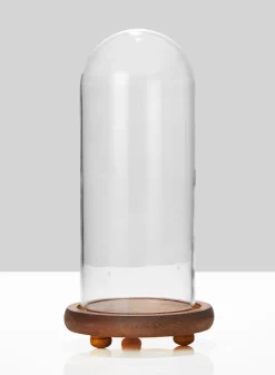 13in Tall Glass Cloche On Wood Base