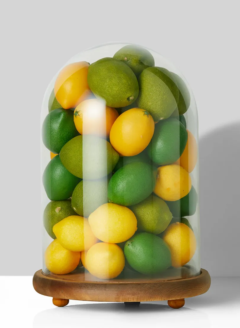 15in Tall Glass Cloche On Wood Base