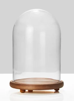 15in Tall Glass Cloche On Wood Base
