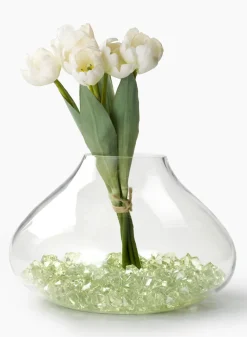 8in Tall Glass Planting Vase