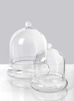 9.5in Tall Glass Terrarium