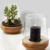 9.75in Tall Glass Vase On Wood Base