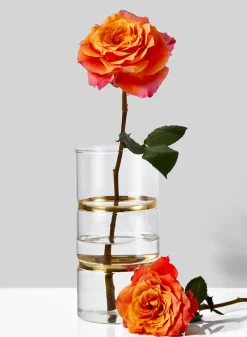8in Tall Gold Band Round Glass Vase