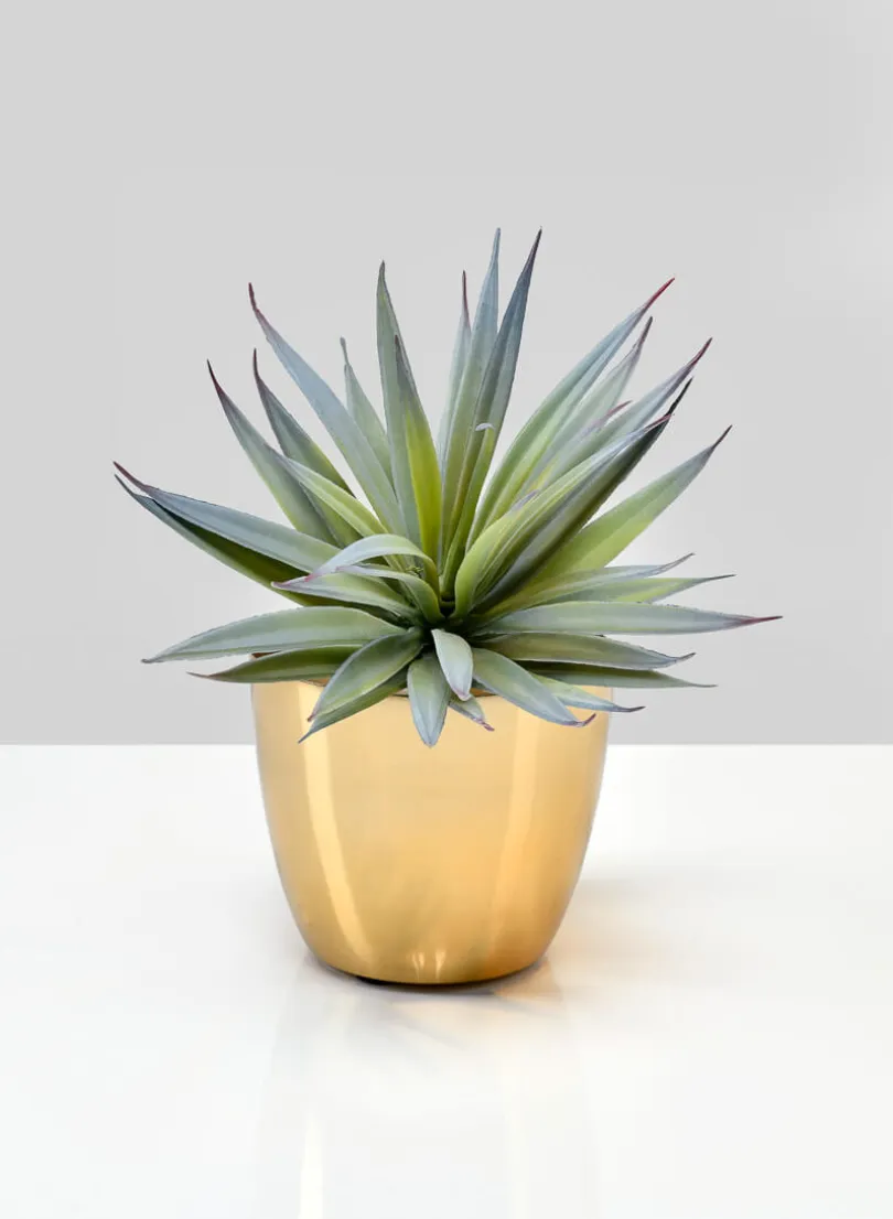 3.5in Tall Gold Elegance Iron Cachepot, Set of 4