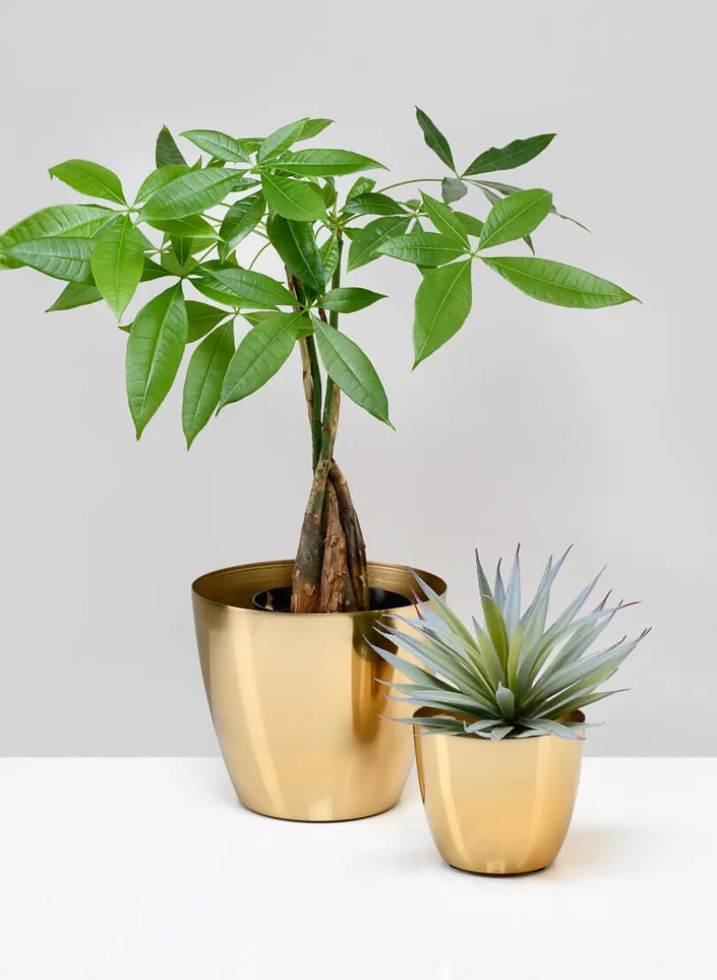 3.5in Tall Gold Elegance Iron Cachepot, Set of 4