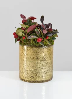 5in Tall Gold Glass Vase