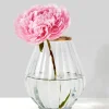 6in Tall Gold Rim Balloon Glass Vase