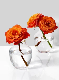 5in Tall Gold Rim Belly Glass Vase, Small Mouth