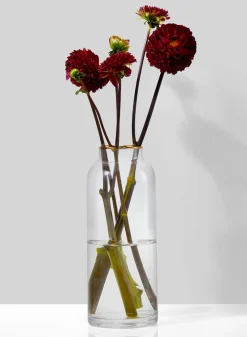 9in Tall Gold Rim Glass Bottle Vase