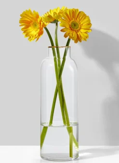 11.5in Tall Gold Rim Glass Vase, Small Mouth