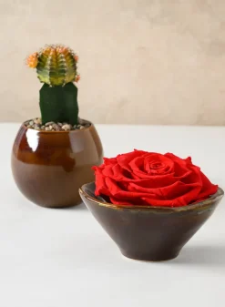 3.25in Tall Guan Oxblood Mini Ceramic Pots, Set of 2
