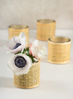 3in Tall Haiphong Cane Weaved Glass Cylinder, Set of 4
