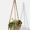 4.5in Tall Hanging Paulownia Wood Bowl