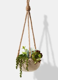 4.5in Tall Hanging Paulownia Wood Bowl