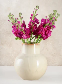9.5in Tall Ivory Glaze Ceramic Akaibara Vase