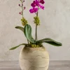 8in Tall Jaya Teak Fishbowl Wood Vase