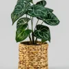 7in Tall Johor Water Hyacinth Vase and Bottle Holder
