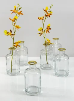 5.25in Tall Jolie Gold Rim Glass Bud Vase, Set of 6