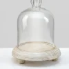 7.5in Tall La Boheme Glass Cloche with Wood Base