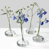 5.5in Tall Lampoon Glass Bud Vase, Set of 4