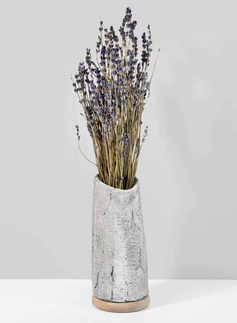 8in Tall Lava Cement Vase