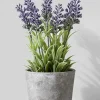 10in Tall Lavender In Cement Pot