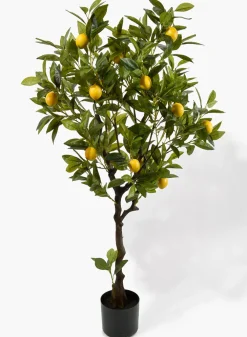 47in Tall Lemon Tree