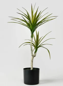 28in Tall Long Yucca Tree