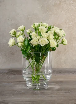 8in Tall Luxe Pedestral Glass Vase