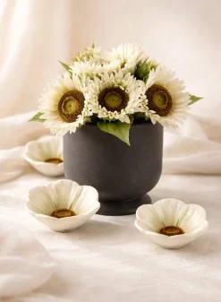 5.75in Tall Matte Black Aeon Ceramic Pot & Saucer