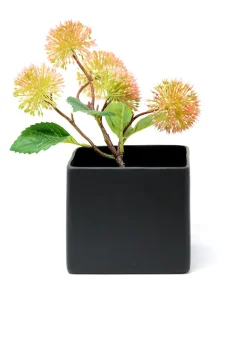 5in Tall Matte Black Ceramic Cube