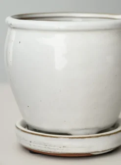 5in Tall Ming Cloud White Ceramic Pot with Saucer
