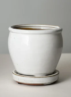 5in Tall Ming Cloud White Ceramic Pot with Saucer