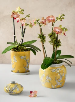 6in Tall Ming Safron Bell Ceramic Vase