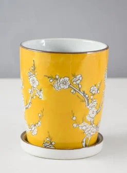 6in Tall Ming Safron Ceramic Pot with Saucer