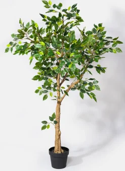 54in Tall Mini Ficus Tree