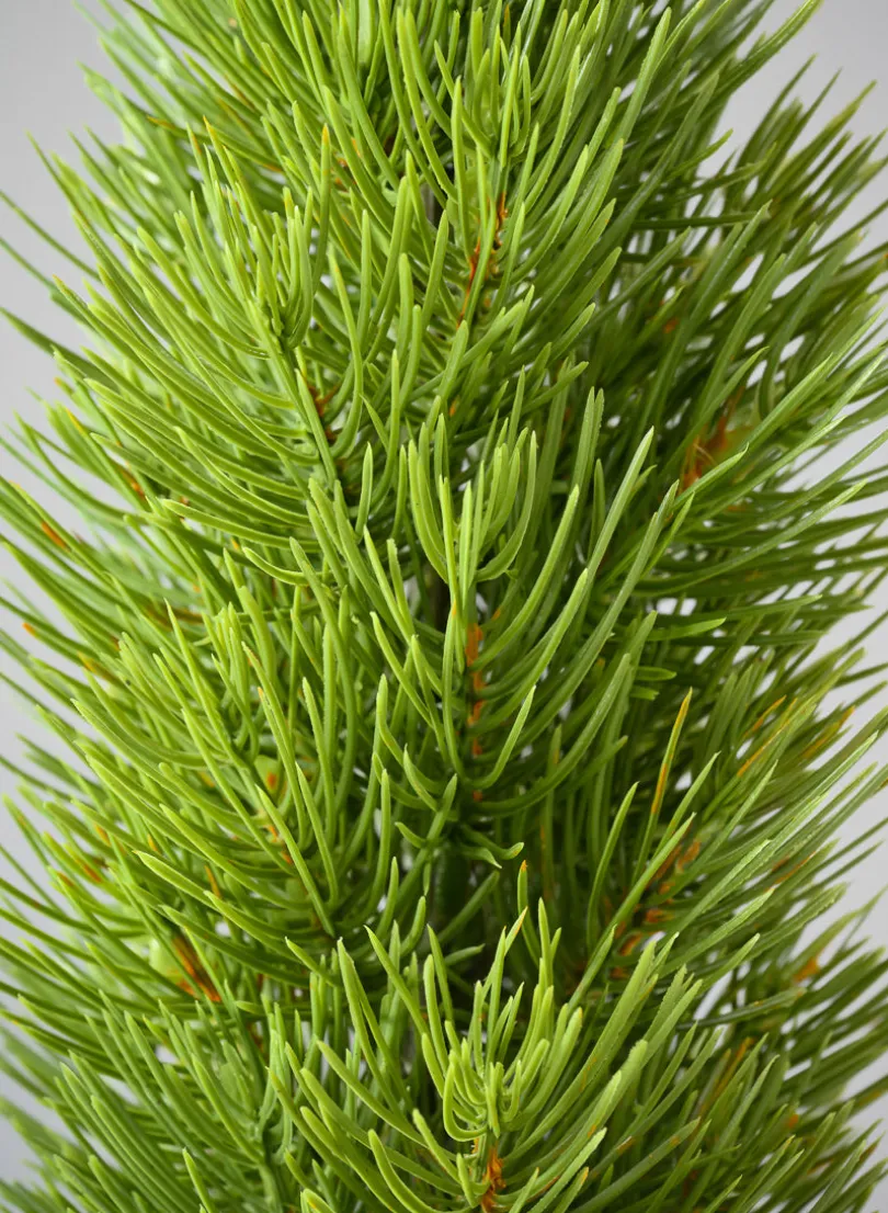 16in Tall Mini Pine Tree with Burlap Wrap, Case of 6