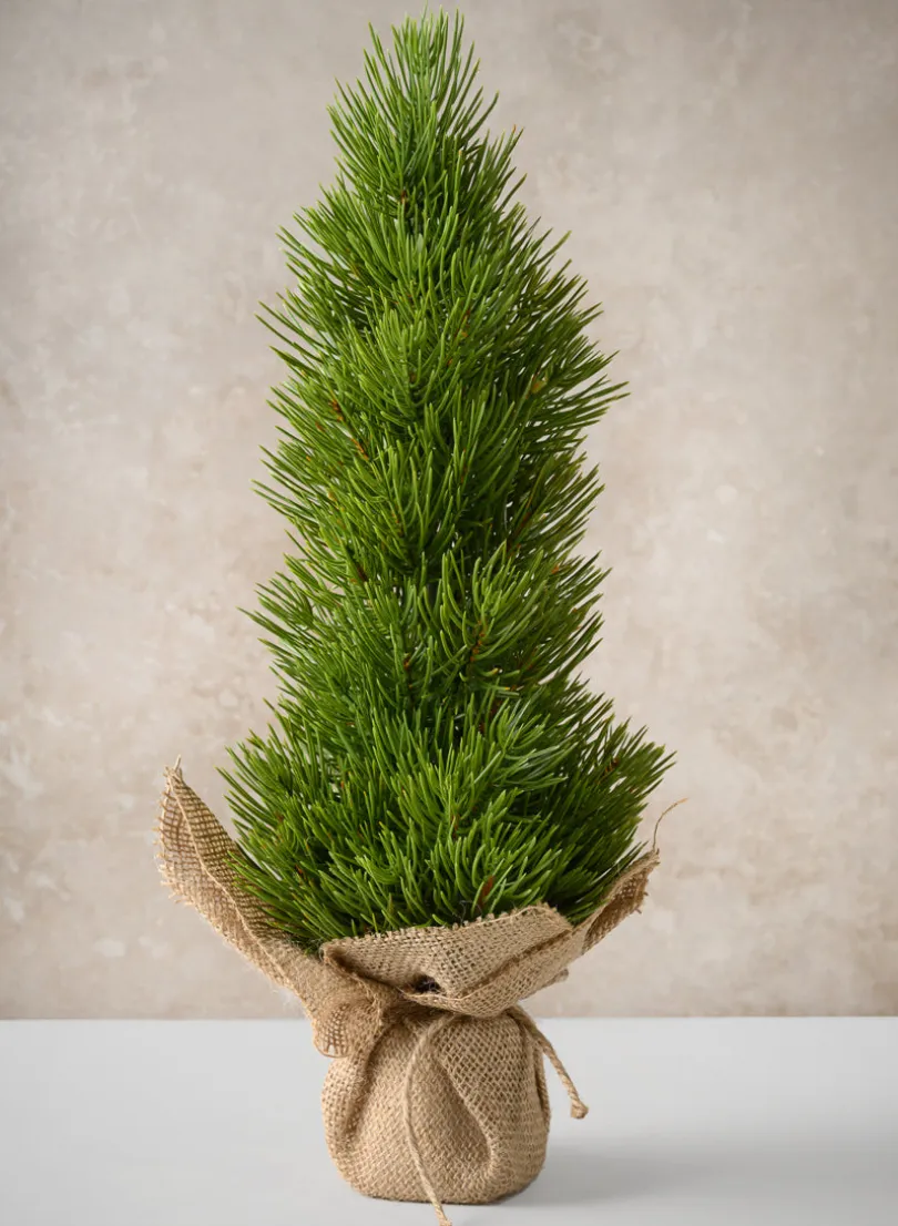 16in Tall Mini Pine Tree with Burlap Wrap, Case of 6