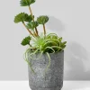 9in Tall Mixed Artificial Succulents In Cement Pot