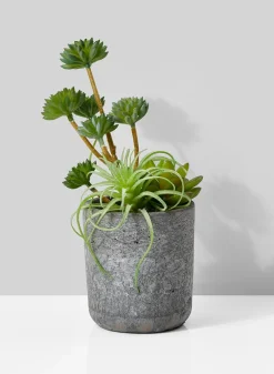 9in Tall Mixed Artificial Succulents In Cement Pot