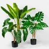 28in Tall Monstera Leaf Plant