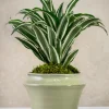 6in Tall Moss Green Glaze Ceramic Ikebana Planter