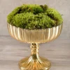 8in Tall Mumtaz Gold Dish Glass Urn