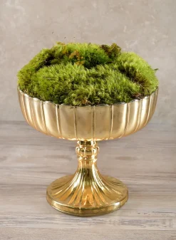 8in Tall Mumtaz Gold Dish Glass Urn