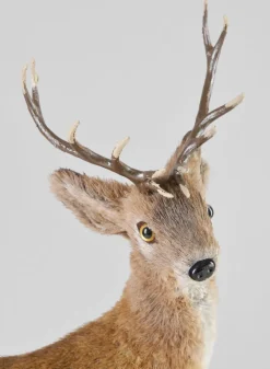 16in Tall Natural Deer