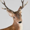 22in Tall Natural Deer