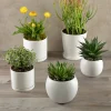 5.5in Tall Odense White Indoor Ceramic Pot with Saucer, Set of 2