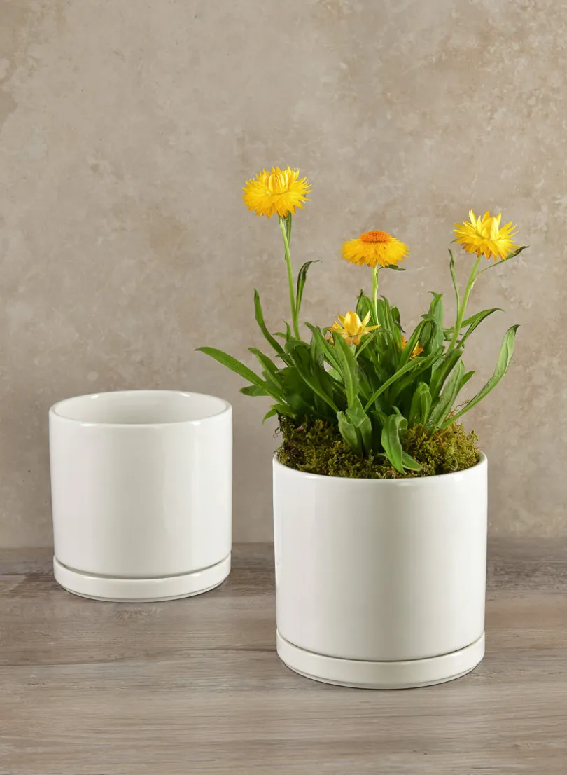 5.5in Tall Odense White Indoor Ceramic Pot with Saucer, Set of 2